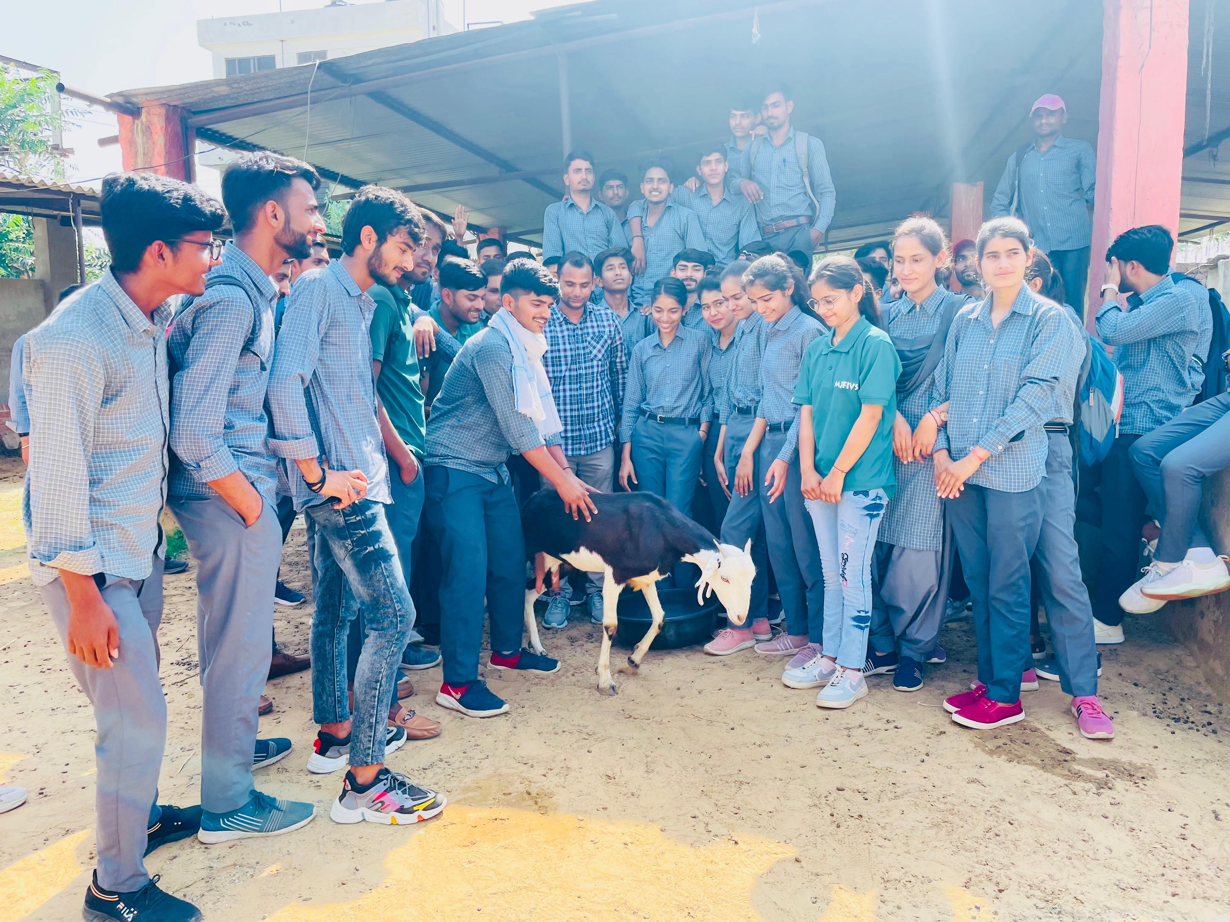 Institute Academic Activities